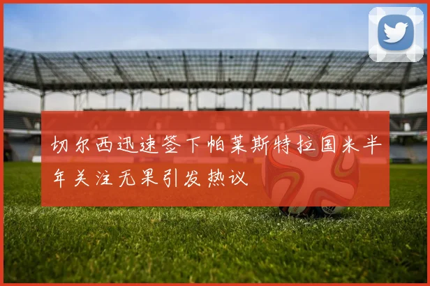切尔西迅速签下帕莱斯特拉国米半年关注无果引发热议