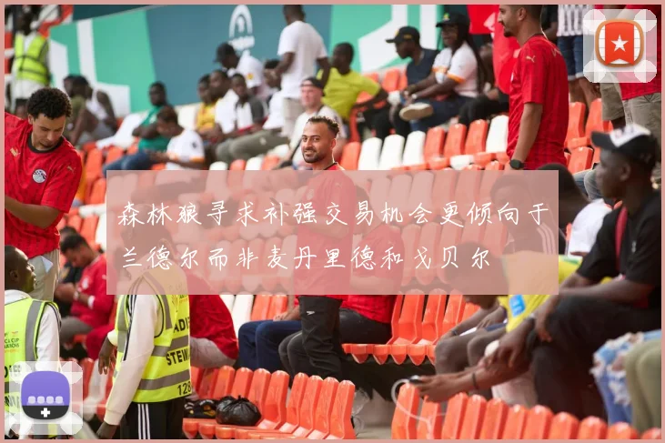 森林狼寻求补强交易机会更倾向于兰德尔而非麦丹里德和戈贝尔